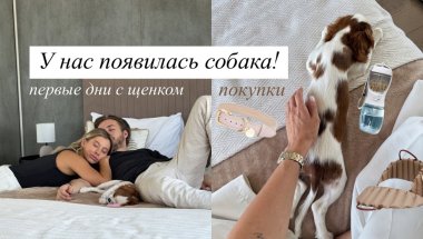 ПЕРВЫЕ ДНИ С ЩЕНКОМ, ПОКУПКИ И СЛОЖНОСТИ (или их нет?)