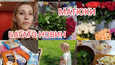 Документи -є!  Пропав голос 🥹 Гарні новини 😃🥋