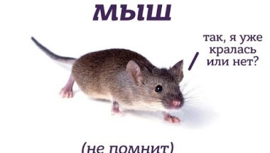 Рисую по заявкам от 30 рублей! (и болтаем)