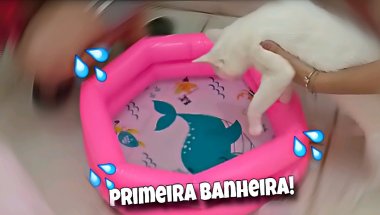 PRIMEIRO BANHO DA NOSSA GATINHA NA BANHEIRA NOVA! - emily sophia oficial