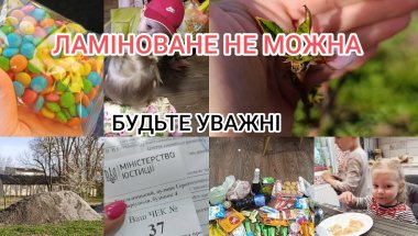 ЛАМІНОВАНЕ НЕ МОЖНА!!! Весняний настрій 🌷 Огляд перших рослин