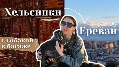 переезд из Финляндии в Армению с собакой - наш опыт