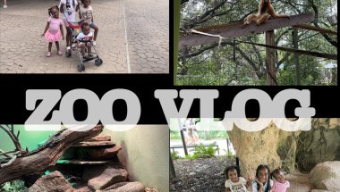 VLOG| TAKING THE KIDS TO THE ZOO 🐒🥰