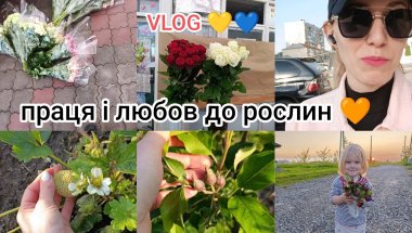 Мамин турборежим: дім, робота і трішки квіткової терапії 🌺