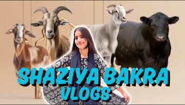 Shaziya vs The Bakras – Who Will Win?! 🐐🔥