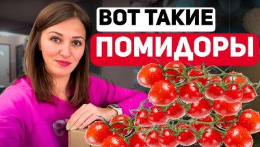 Уборка, покупки, рецепт и семейный ужин – один день с нами!