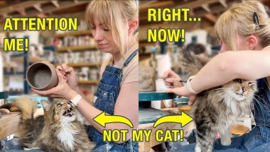 He’s NOT My Cat! Try Telling Him That! He Won’t Leave!