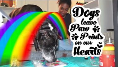 Day Before I Had to Put my Dog Down | Memorial Paintings ( No Cuts ) Pt 1