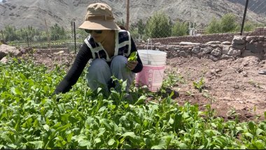 Living a village girl life 💕 #ladakhivloger