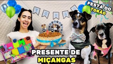 FIZ UMA FESTA DE ANIVERSÁRIO E UMA GRAVATA DE MIÇANGAS PARA O MEU CACHORRO! - Biju Beauty