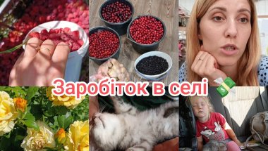 Сільський день🍒🫐: заробила тисячу💸 і раки 🦞на вечерю