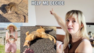 I Rescued A Rat, Met A Friendly Cat, First BBQ & Scary Fun New Toy!