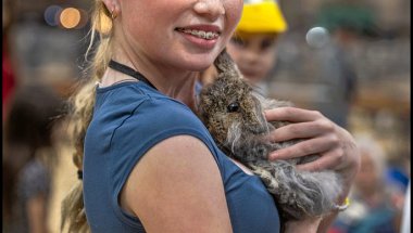 Poultry And Rabbit Show