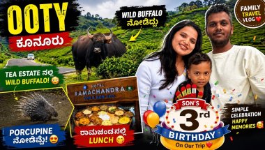 Onoor Wild Buffalo in Tea Estate 🦬 | Porcupine Sighting | Son’s 3rd Birthday Celebration 🎂 |vlog