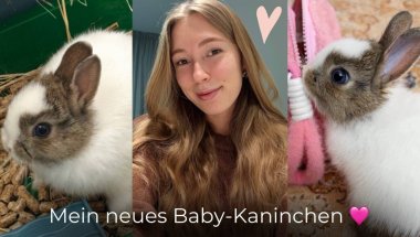 Ich habe ein Kaninchen bekommen… und mein Leben hat sich verändert 🐰