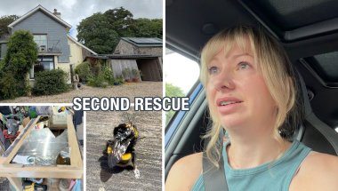 Another House Viewing! Rescuing Bees, Framing a Mirror & BBQ Pizza!