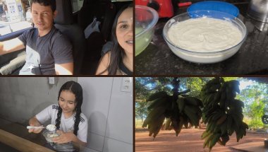 Iorgute Natural.