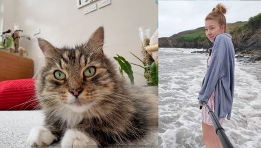 Can’t Believe Free Cat Lets Me Do this Now!