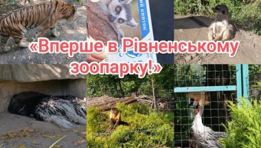 💛💙РІВНЕНСЬКИЙ ЗООПАРК 🐒🐏🐎🐅🐆 Враження/ ЕМОЦІЇ🥰