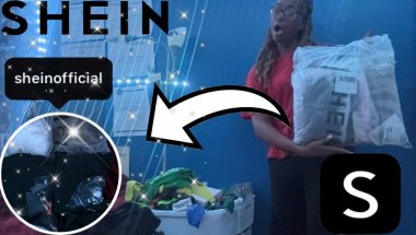 BACK TO SCHOOL: SHEIN CLOTHING HAUL *Fall Edition*| $100 + spent, 10 items, try on haul|