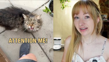 This Cat KEEPS Interrupting me! & a Surprise Visitor