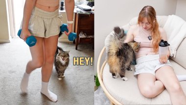 Trying To Workout When Neighbours Cat Needs Me!