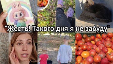 ВЛОГ 🤢"🤮 Жорстке отруєння ➡️ сільська робота 💪🥔"