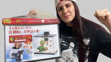 COMPREI MEU PRIMEIRO PEIXE 🐠