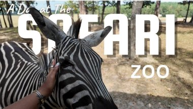 A Day at the Animal Safari | Vlog