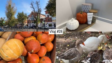 Vlog: Уютная осень, готовлю голубцы и паштет, украшаю дом, поездка в Тверь, любимый сериал🧡🍂🎃