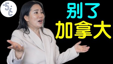 放弃加拿大移民，回到那个伤我最深的地方！