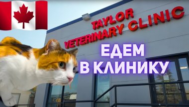 Внезапно, Большие проблемы!!! Надеемся ей помогут.
