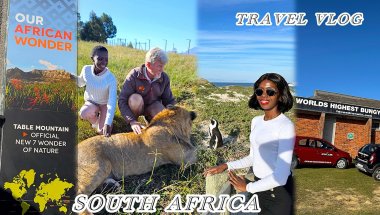 FEEDING LIONS,PENGUINE WATCHING,TABLE MOUNTAIN,ZIPLINING & MORE#travelvlog#walkingwithlions#fypviral