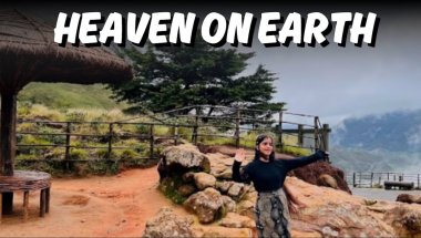 Wonders of Munnar | Eravikulam Park to Snake Roads Adventure