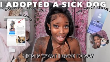 I ADOPTED A SICK DOG IM PISSED ! HERE IS MY HONEST STORY WITH RECEIPTS| STORYTIME|