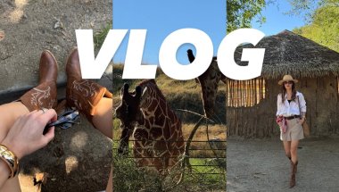VLOG // едем в зоопарк кормить жирафов // организую пространство для обуви // обновки в квартире //