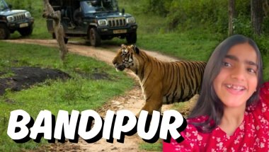 Royal Mysore to Wild Bandipur | A Road Trip to Remember