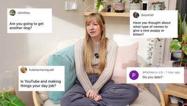 Answering Your Questions! Dating - Puppy Names - Job...
