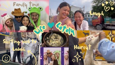 Life lately: family time/ shifting back to Ladakh soon/ picnic and more #ladakhivloger #family #cat