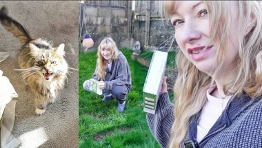Fixing The Lawn & Losing Track of Our Free Cat!