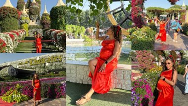 No Need Visiting Miracle Garden After Watching This| Two miracles in one garden 🪴.