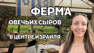Ферма с овечьими сырами 🐑🧀 мошав в центре Израиля