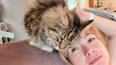 Should We DNA Test Our Neighbours Cat?! They Don't Know What He Is!