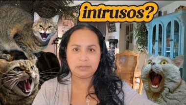 Quiénes son los intrusos? Estoy harta!