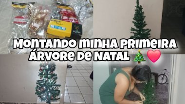 VLOG: MONTANDO MINHA PRIMEIRA ÁRVORE DE NATAL 🎄❤️