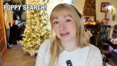 I Need Your Help To Find A Puppy!