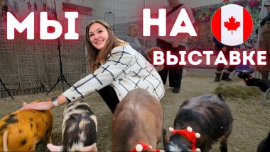 Рождественская ярмарка бизнесов: что интересного мы нашли?