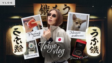 ВЛОГ ТОКИО: Первая винтажная сумка, картье, рыбный рынок и щеночки🐶