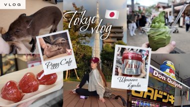 ВЛОГ ТОКИО: Pig кафе, рыбный рынок, Sensoji temple и закупка в Донки 🐷ྀིྀི