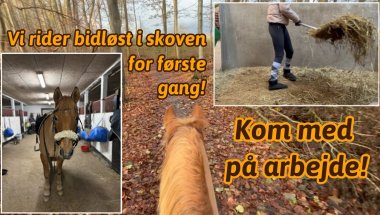 En dag i mit liv - Arbejde, Bøjle og bidløst!